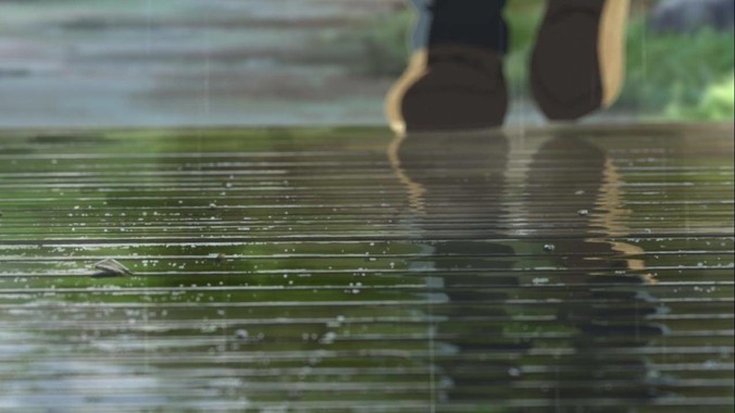 如何判断鱼缸中的硝化系统是否已经成功建立?